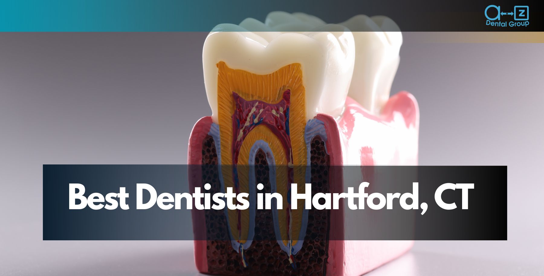 Best Dentists in Hartford, CT